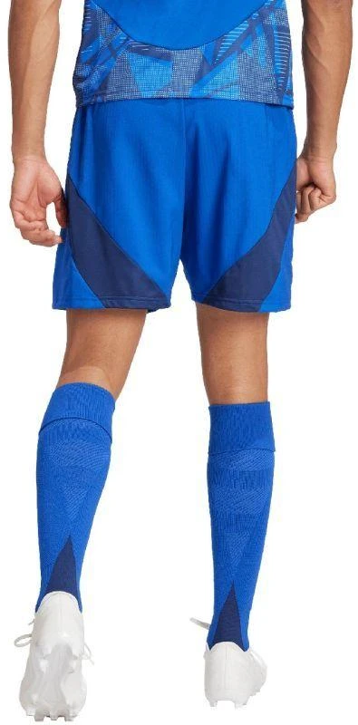Adidas Tiro 24 Competition treniruočių M šortai IQ4755
