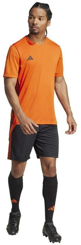 adidas Tiro 24 JJ1161 šortai
