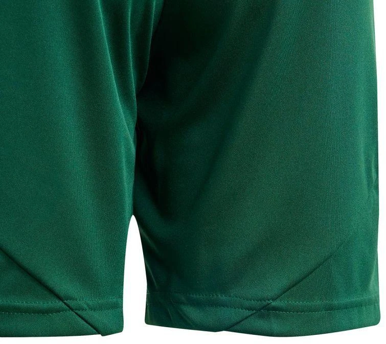 adidas Tiro 24 Jr IT2409 Šortai
