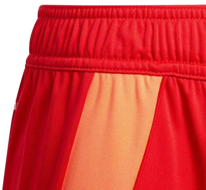 adidas Tiro 24 Jr IT2422 šortai