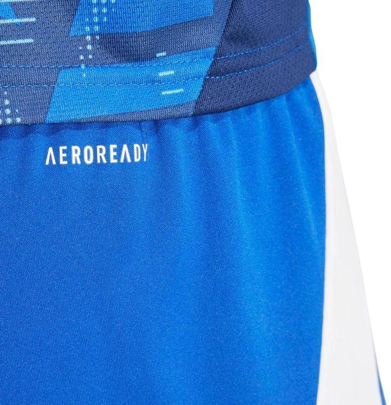adidas Tiro 24 M IR9378 šortai