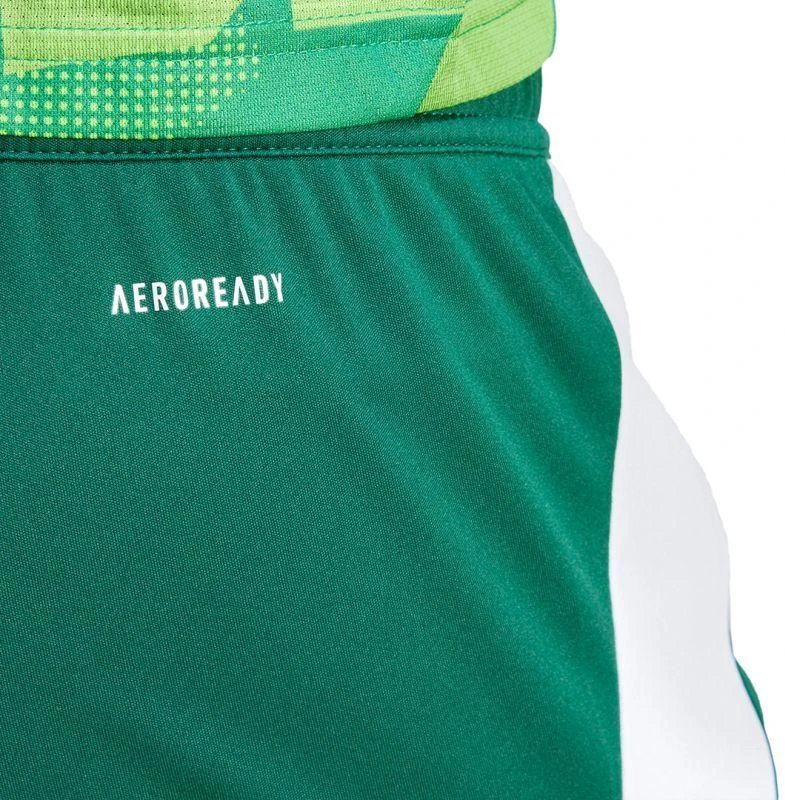 adidas Tiro 24 M IS1410 šortai