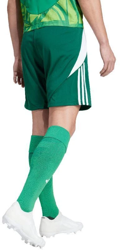 adidas Tiro 24 M IS1410 šortai