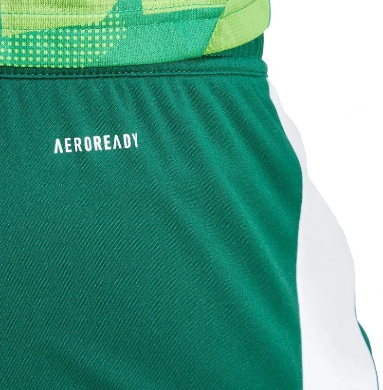 adidas Tiro 24 M IS1410 šortai