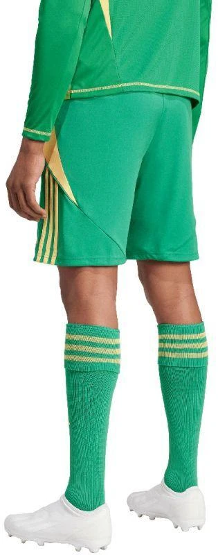 adidas Tiro 24 M IT2414 šortai