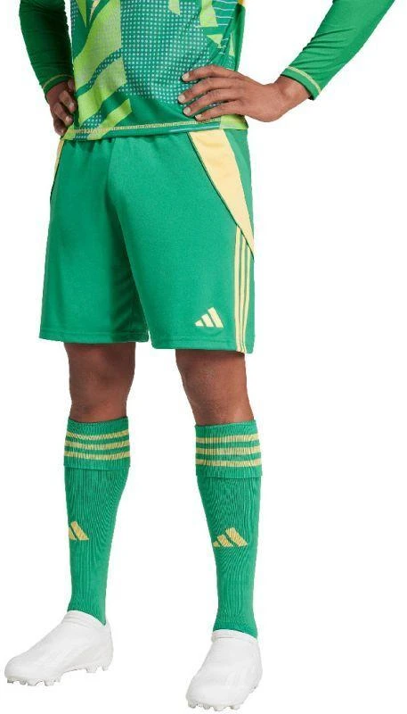 adidas Tiro 24 M IT2414 šortai