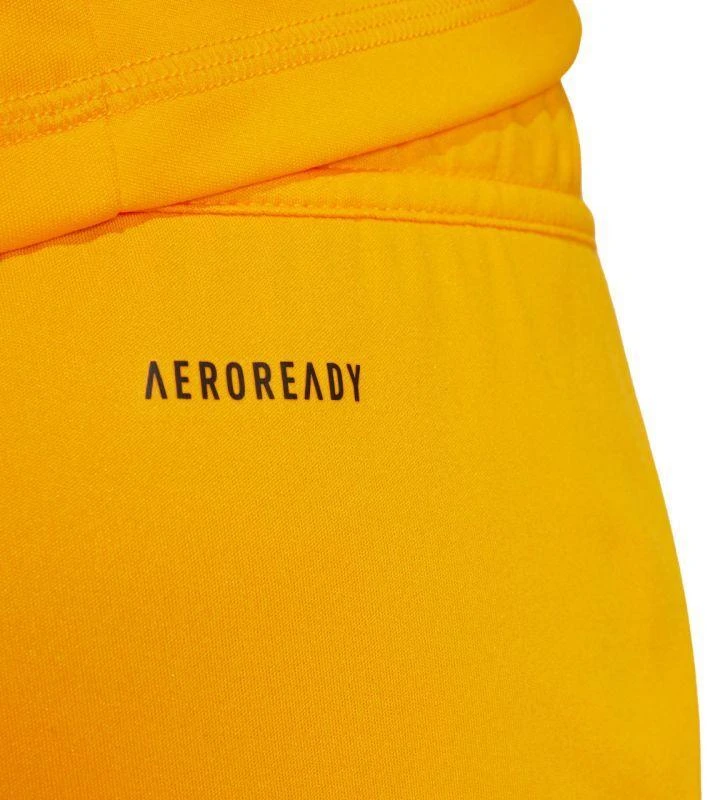 adidas Tiro 24 M JN4497 šortai
