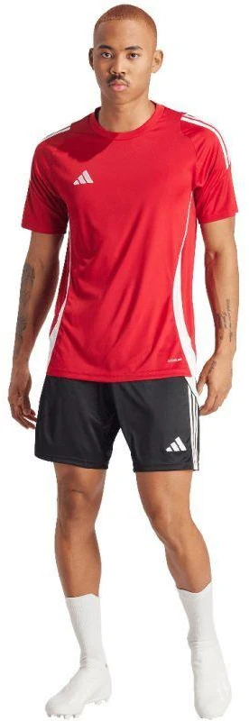 adidas Tiro 24 Marškinėliai Vyrams IS1016
