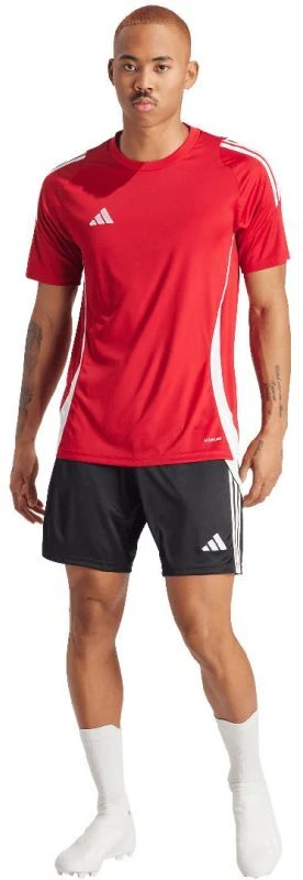 adidas Tiro 24 Marškinėliai Vyrams IS1016