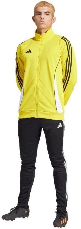 Adidas Tiro 24 vyriškas treniruočių džemperis IR9493