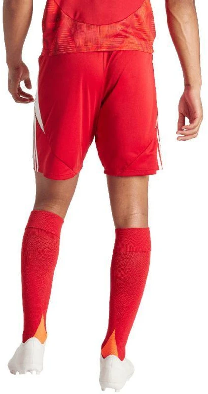 adidas Tiro 24 vyriški šortai IR9379