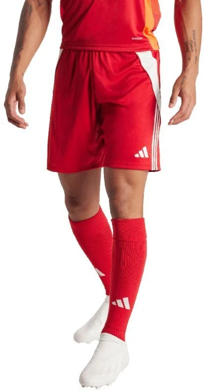 adidas Tiro 24 vyriški šortai IR9379