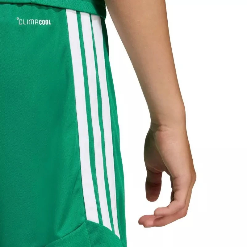 adidas Tiro 26 Lyga Vaikiški Šortai Žali KA8812