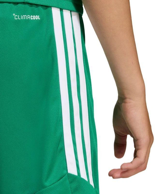 adidas Tiro 26 Lyga Vaikiški Šortai Žali KA8812