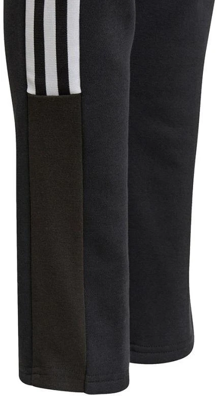 Adidas Tiro21 Sweat Jr GM7332 kelnės