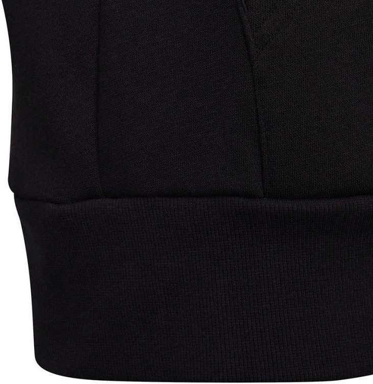 Adidas U CB FL Hoodie Jr HC5658 bliuzonas