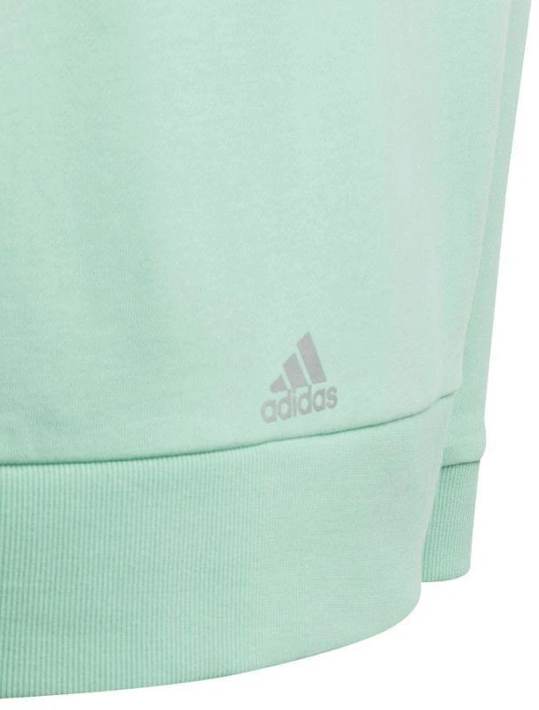 Adidas vaikiškas gobtuotas bliuzonas HR5825