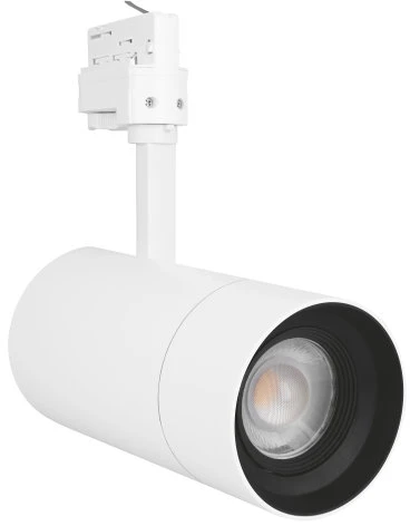 Ledvance Akcentinis šviestuvas ZOOM DIM D85 25 W 3000 K 97R WT