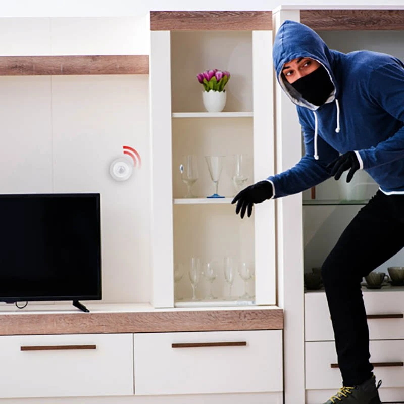 „Alpina“ – išmanusis PIR judesio jutiklis su „Zigbee“ tinklu