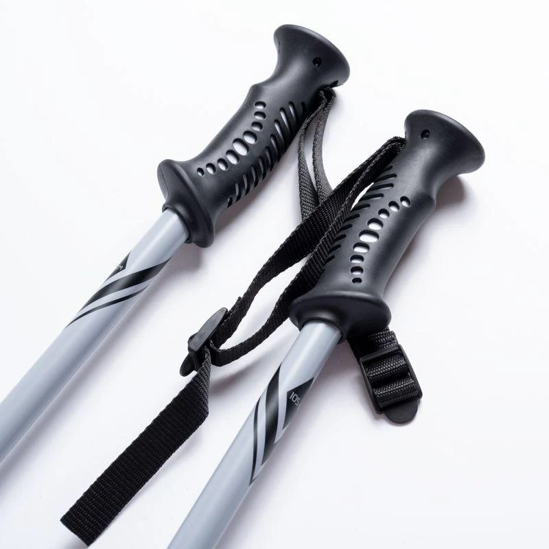 ALPINE SKI II lazdos