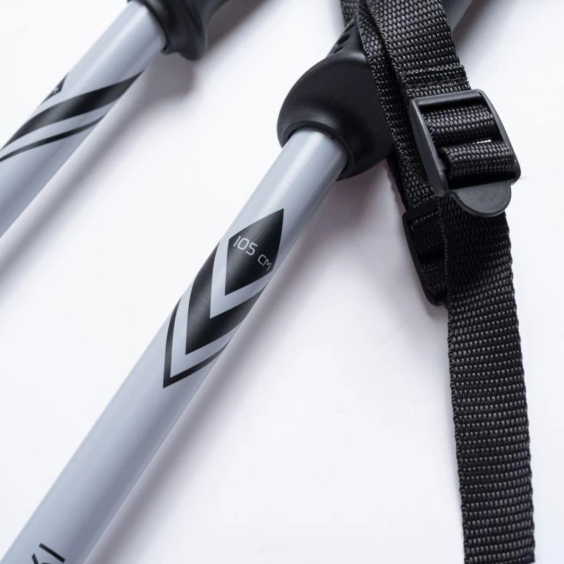 ALPINE SKI II lazdos