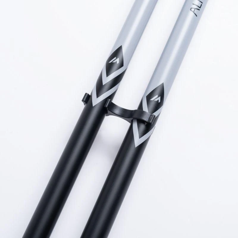 ALPINE SKI II lazdos