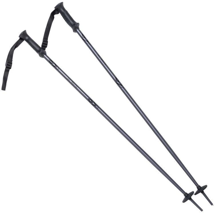 ALPINE SKI II slidžių lazdas