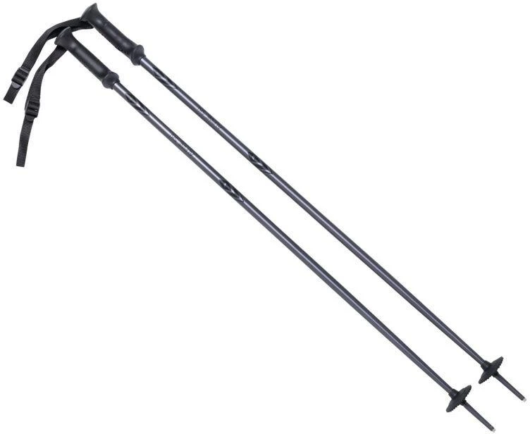 ALPINE SKI II slidžių lazdas