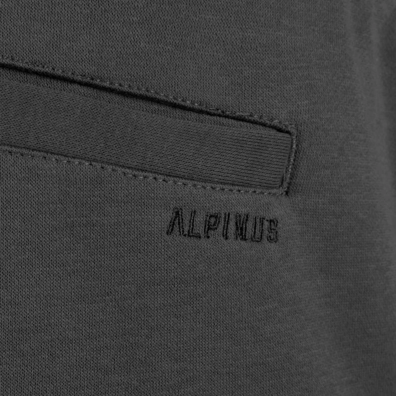 Alpinus Bajadilla M SI18149 šortai