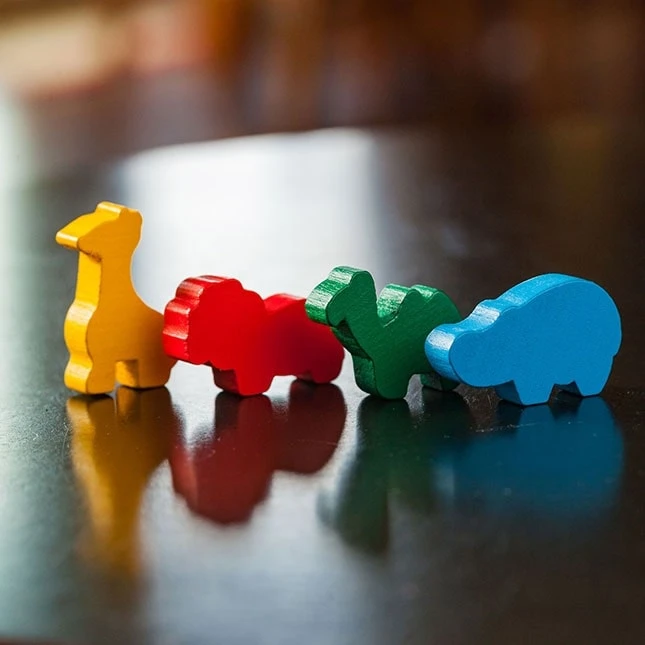 Fat Brain Toys FAT BRAINS edukacinis stalo žaidimas AnimaLogic, FA035-1