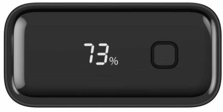 Ansmann PB222PD Ličio polimeras (LiPo) 20000 mAh Juoda