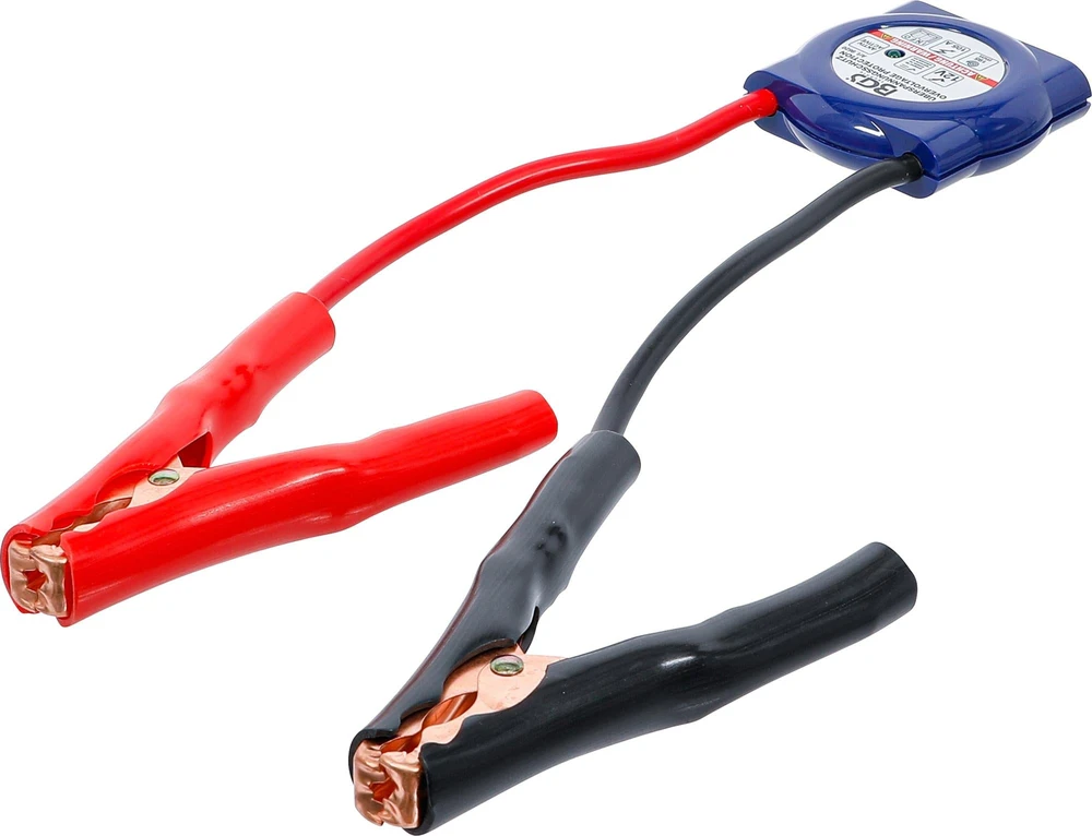 APSAUGA NUO VIRŠĮTAMPIO | 12 V (9620)