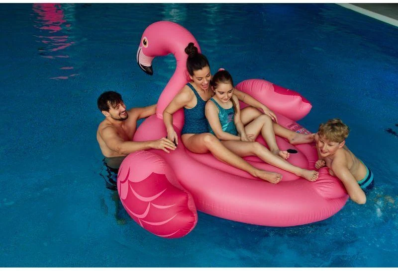 AquaWave Jūros dumbliai W 92800481982 Maudymosi kostiumas