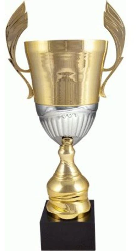 Auksinė ir sidabrinė metalinė taurė 4128B