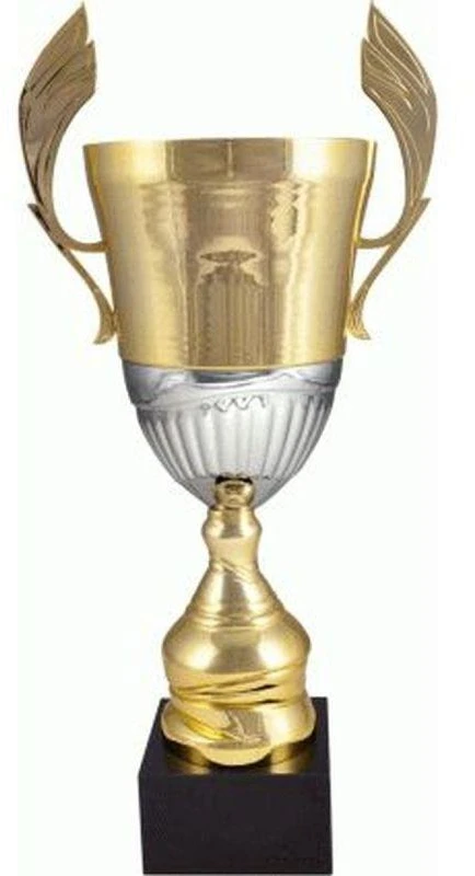 Auksinė ir sidabrinė metalinė taurė 4128C