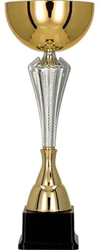 Auksinė ir sidabrinė metalinė taurė