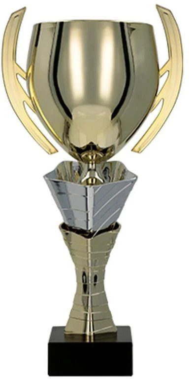 Auksinė ir sidabrinė metalinė taurė
