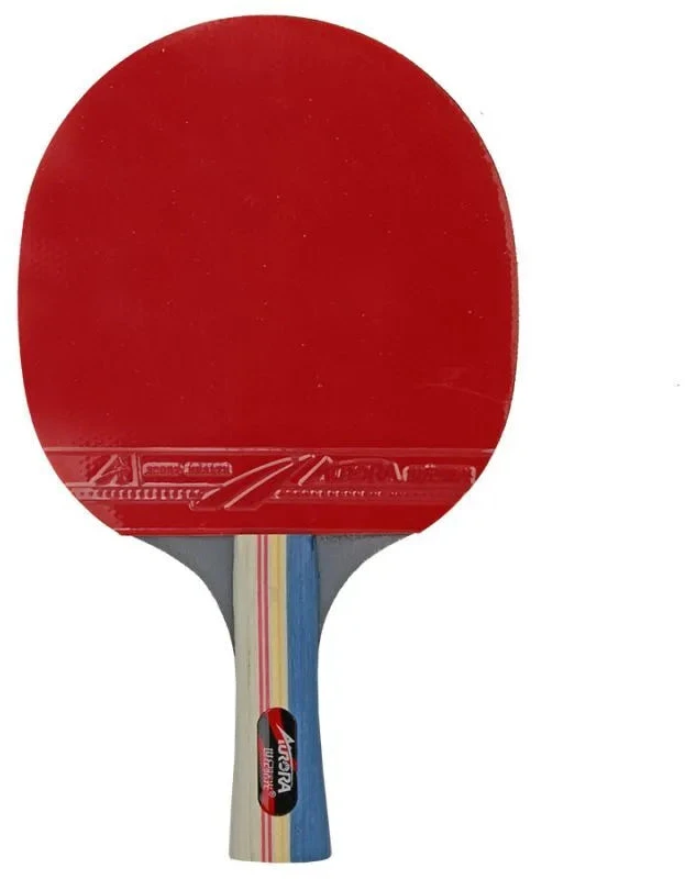 AURORA SG6182 stalo teniso rinkinys