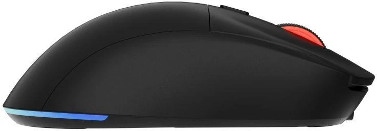 Ausinės GENESIS Zircon XIII Žaidimų pelė Ambididextriška RF Belaidė + USB Type-C Optinė 26000 DPI