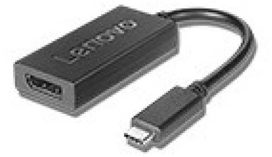 Lenovo | 4X90Q93303 USB-C prie DisplayPort | USB-C į Dp USB-C kištukas | DisplayPort