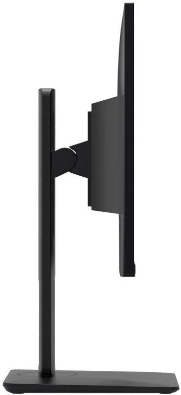 Monitorius MSI PRO MP245PG 60 cm (24 colių) IPS FHD HDMI/DP 4 ms 100 Hz Pivot