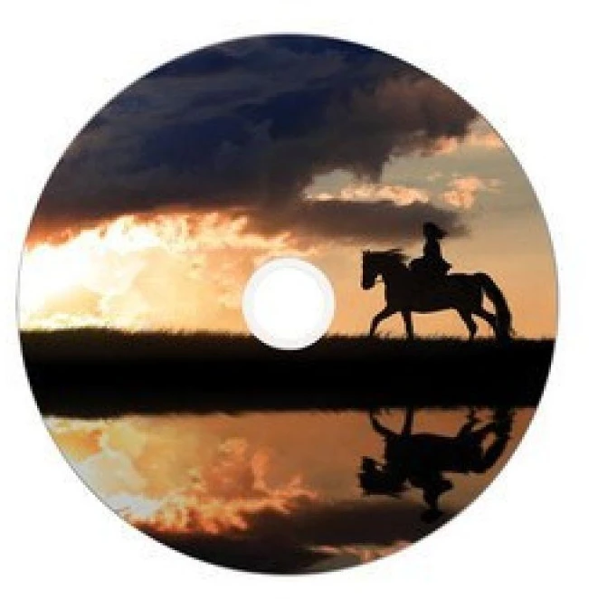 Verbatim 43703 neįrašytas DVD diskas 8,5 GB DVD-R 50 vnt