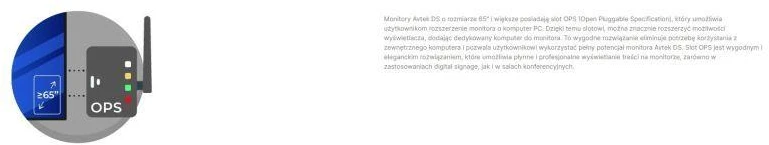 AVTEK DS2 65" INFORMACINIS MONITORIUS