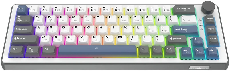 White shark Baltas Shark EXCALIBUR M GK-009251 mechaninė klaviatūra, balta, US