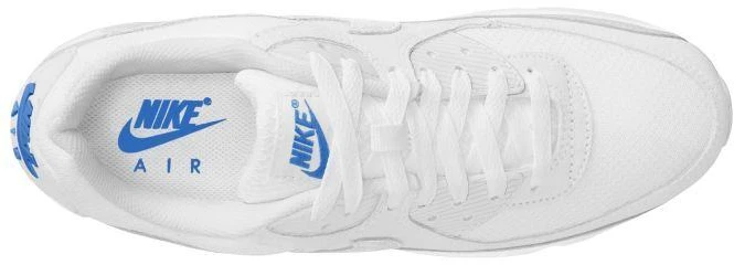 Batai Nike Air Max 90 DM0029-123
