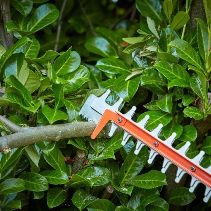 Black & Decker BD GYVONŲ ŽIRKLĖS 650W / 60cm / 25mm