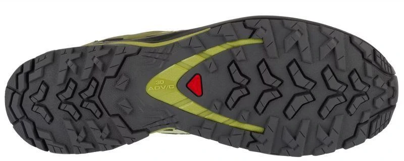 Bėgimo batai Salomon XA Pro 3D v9 GTX M L47741900