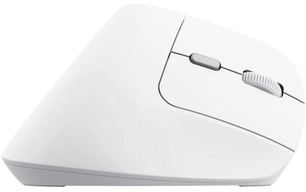 Trust Bayo II - Ergonomic Belaidė pelė (baltas)