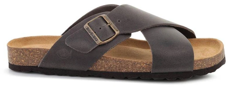 BIO BARRY COUNTRY GRIS 261-781138-06