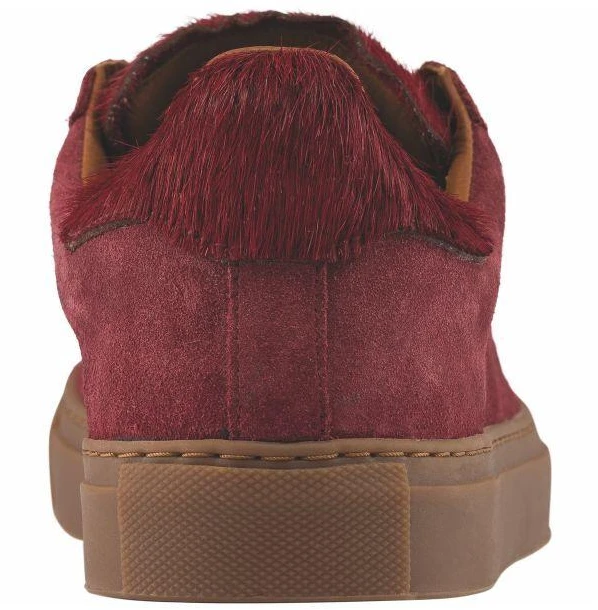 Bordo spalvos bateliai Rossignol Abel 18